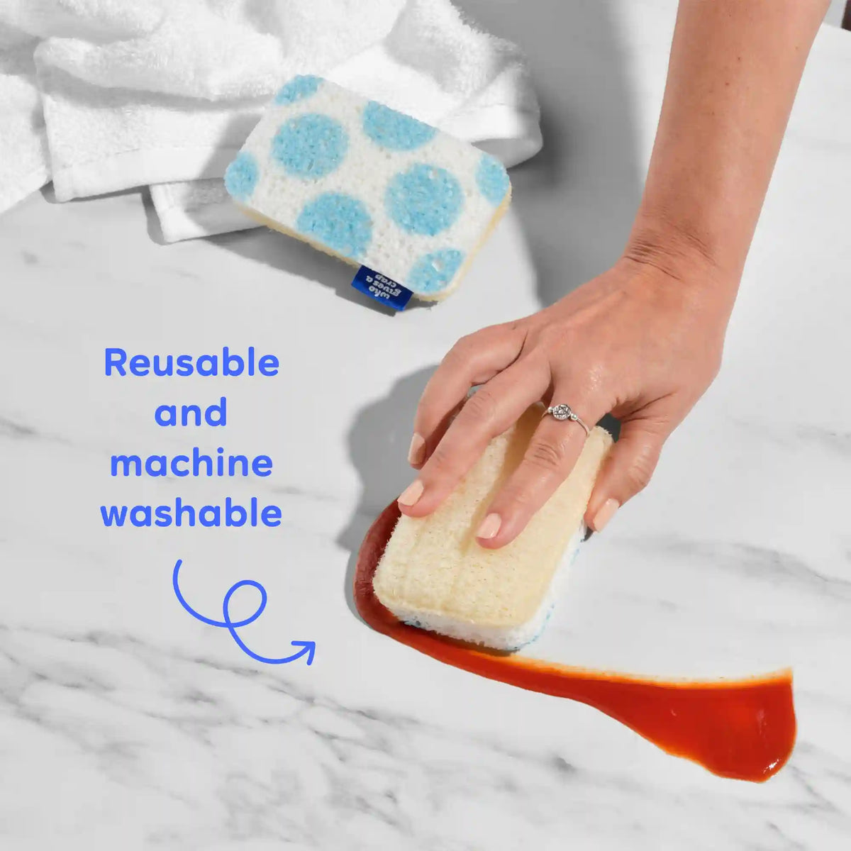 Sponge Scourers