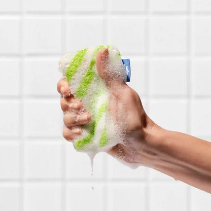 Sponge Scourers
